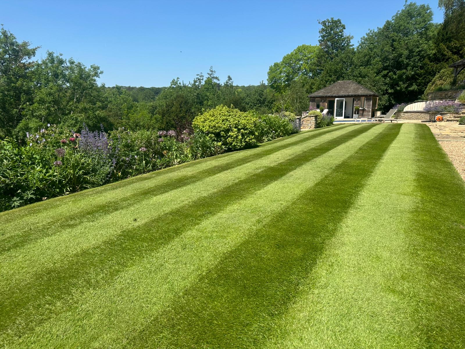 Professionally maintained striped lawn