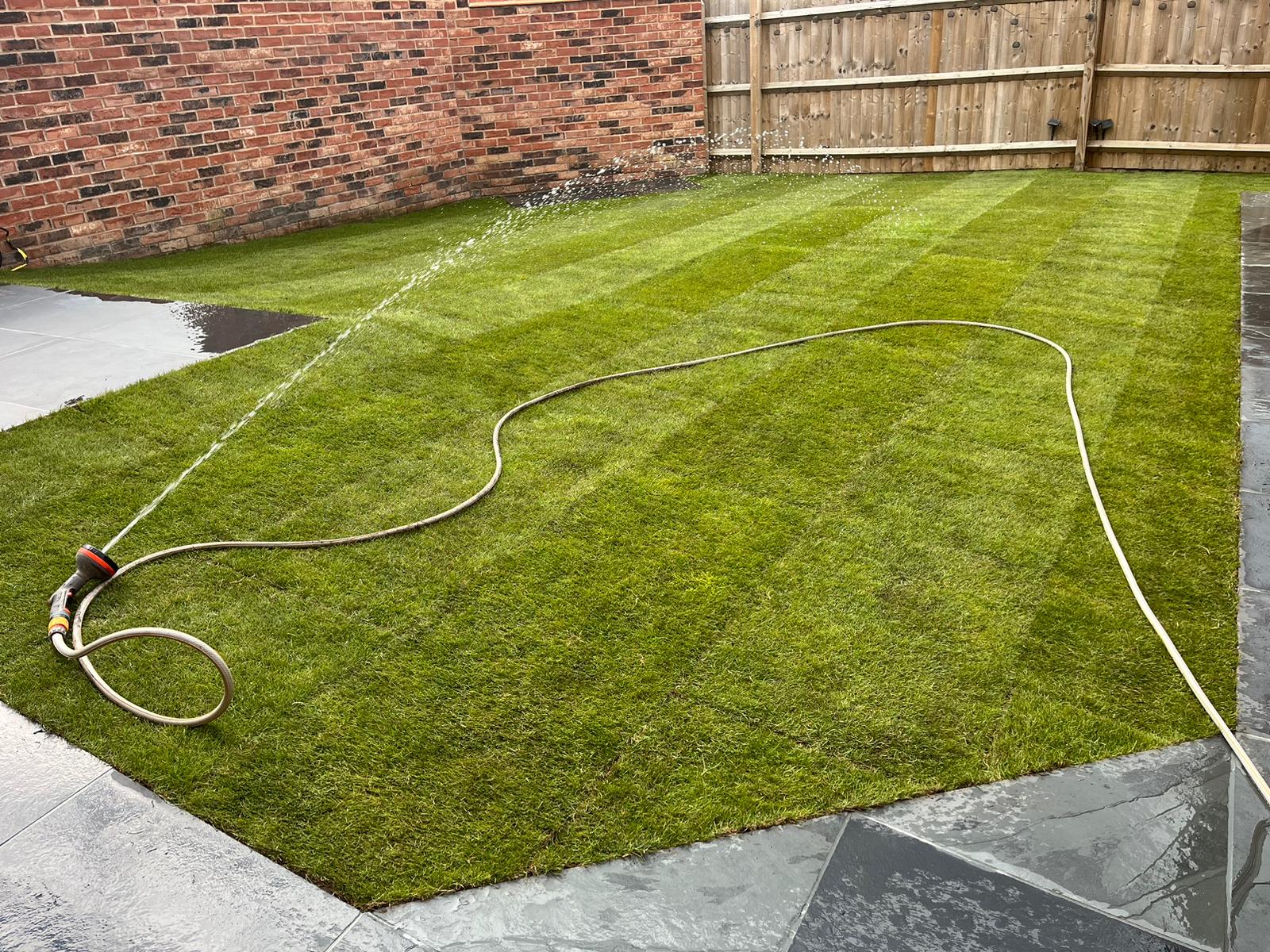 Freshly laid turf being watered